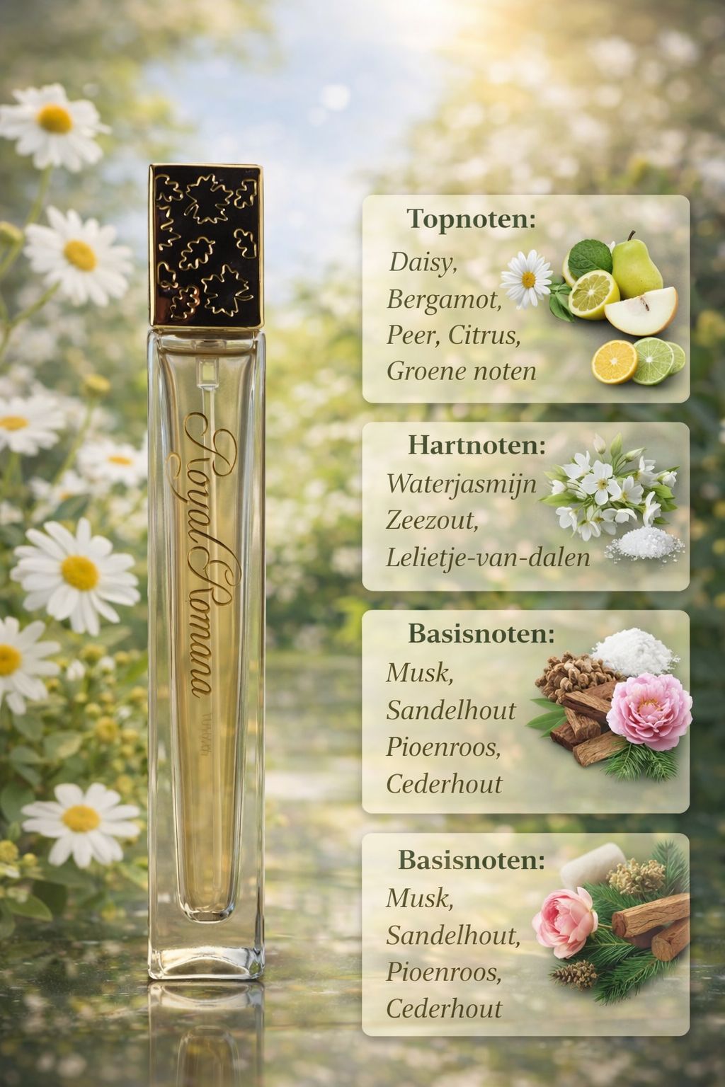 Aurora Royal Romana 8 ml Huniperfumes