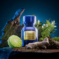 Mykonos inception extrait samples
